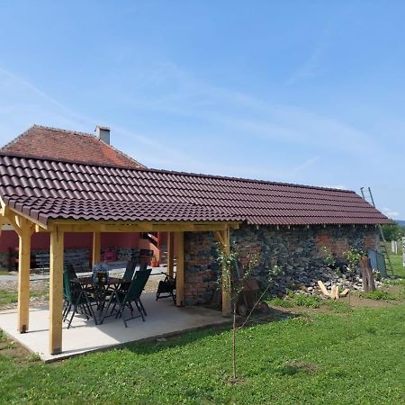 Petersen Villa Sibiu Exterior photo