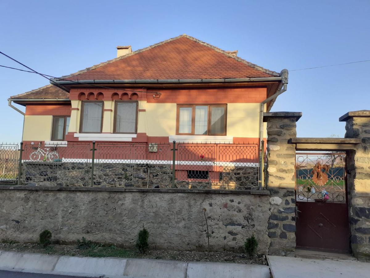 Petersen Villa Sibiu Exterior photo