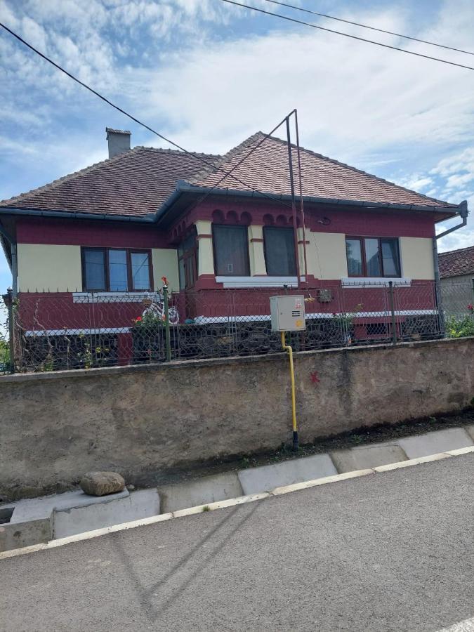 Petersen Villa Sibiu Exterior photo