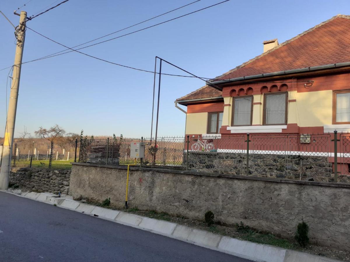 Petersen Villa Sibiu Exterior photo